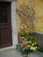 20071012_164931.jpg