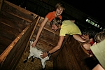 20090819_192514.jpg