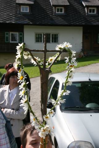 20110613_150428.JPG