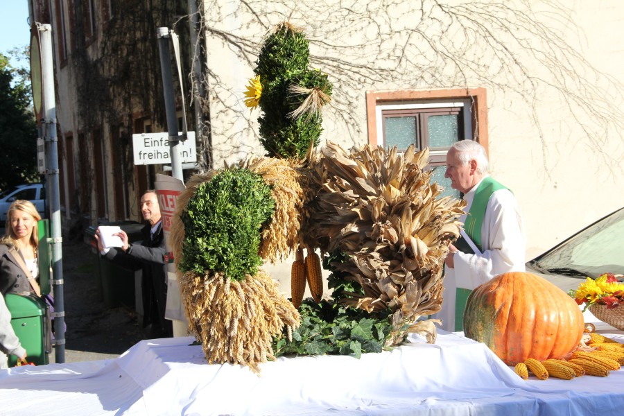 20111009_093036.jpg