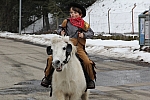 20120219_134336.jpg