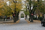 20121026_110204.JPG