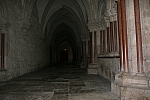 20121026_114550.JPG