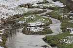 20130210_142746.JPG