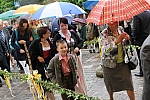 20130602_093806.JPG