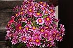 20131110_100547.JPG