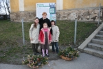 20080316_083435.JPG