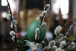 20080323_084142.JPG