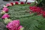 20080522_085221.jpg