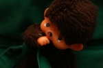 20090224_163208.jpg