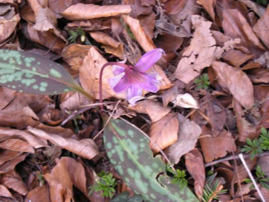 20090328_171035.JPG