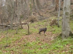 20090328_135806.JPG