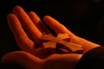 20090403_191826.jpg