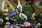 20090404_150618.jpg