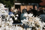 20090411_093206.JPG