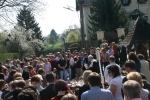 20090411_103717.JPG