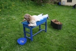 20090502_152036.JPG