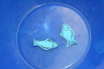 20090502_152208.JPG