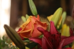 20090503_092453.JPG