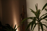 20090516_201855.JPG