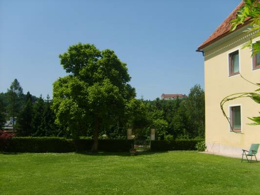 20090517_123206.JPG