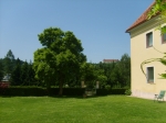 20090517_123206.JPG