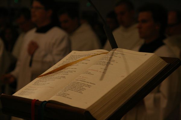 20090605_202940.jpg