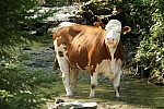 20090901_151824.JPG