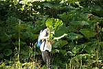20090903_110839.JPG