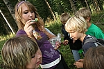 20090903_161249.JPG