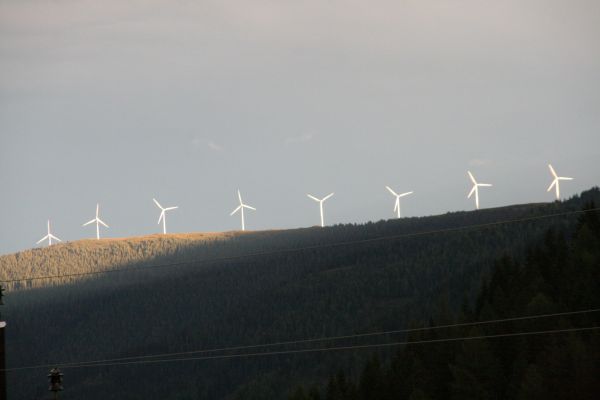 20090904_185546.JPG