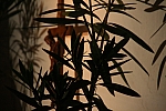 20091017_210631.JPG