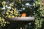 20091025_110326.JPG