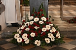 20091107_153156.JPG