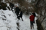 20100116_144139.jpg
