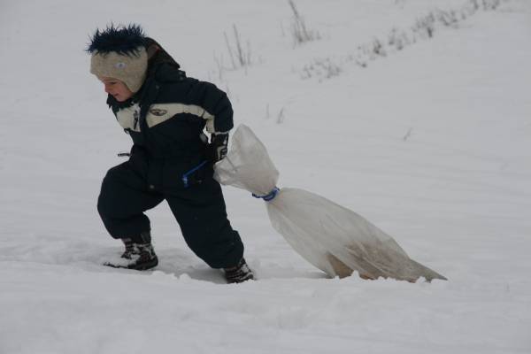 20100130_135609.JPG