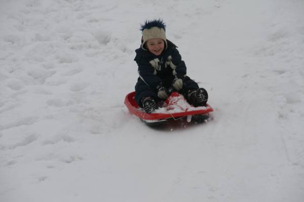 20100130_140137.JPG