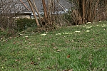 20100327_144227.JPG