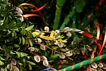 20100327_151254.JPG