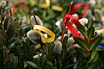 20100327_151329.JPG