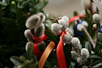 20100327_151335.JPG