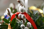 20100327_151435.JPG