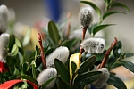 20100327_151455.JPG