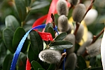 20100327_151514.JPG