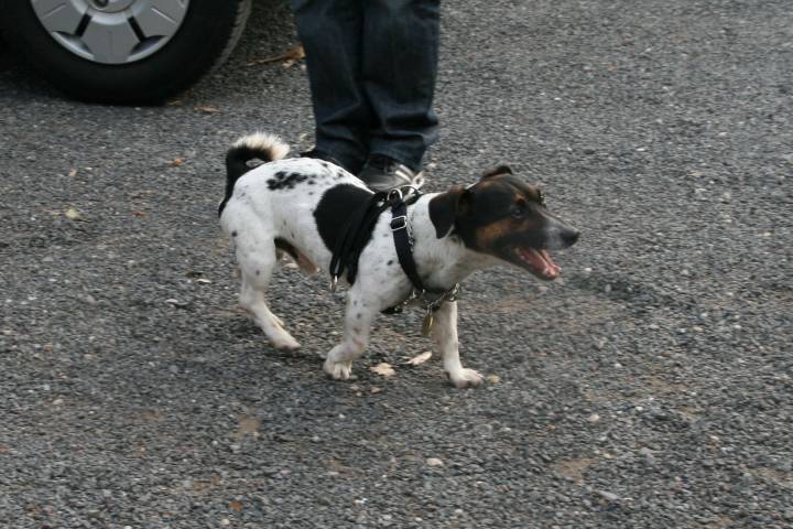20100528_185204.JPG