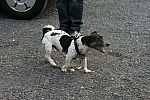20100528_185204.JPG