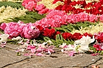 20100603_094507.JPG