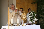 20100603_095152.JPG
