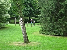 IMG_3712 (Custom).jpg