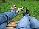 IMG_3715 (Custom).jpg